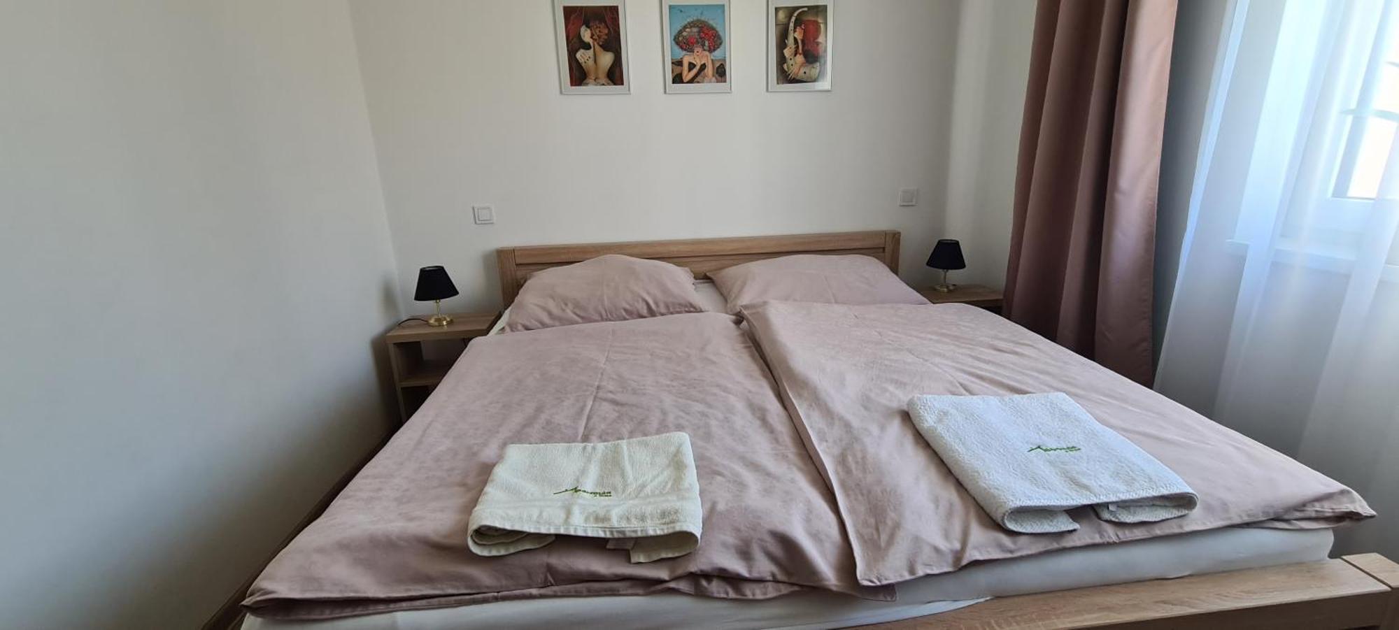 Apartman U Toma Frýdlant nad Ostravicí Eksteriør bilde