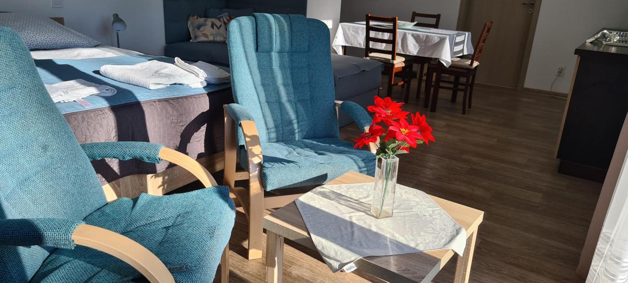 Apartman U Toma Frýdlant nad Ostravicí Eksteriør bilde